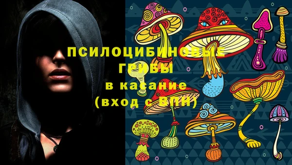прущие крисы Вязьма