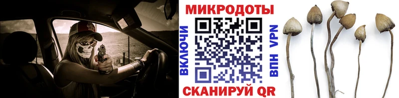 Псилоцибиновые грибы Magic Shrooms  Купить закладки  Каменка 