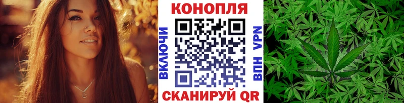 Купить закладки  Каменка  Марихуана гибрид 